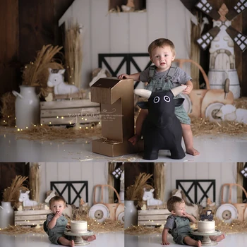 אסם לבן יום Farm רקע ילדים ילדה דיוקן צילום התינוק Photocall Decors טחנת הרוח עוגת יום הולדת לרסק תפאורות